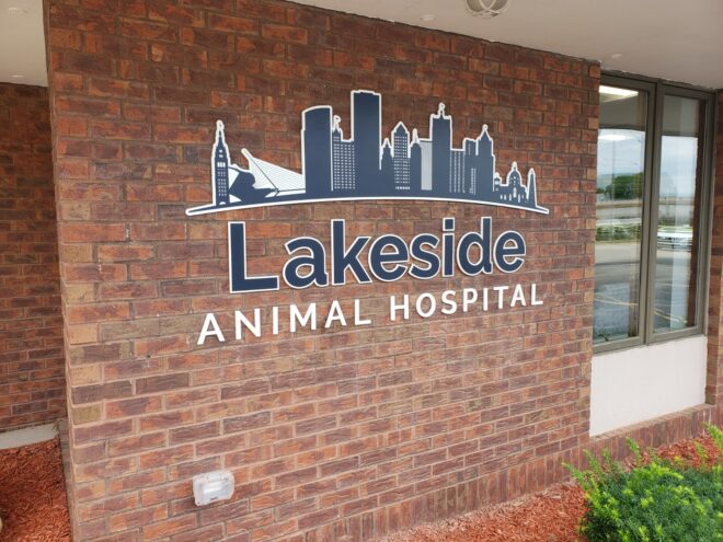 Exterior dimensional signage for Animal Hospital with custom city skyline graphic mounted on red brick wall