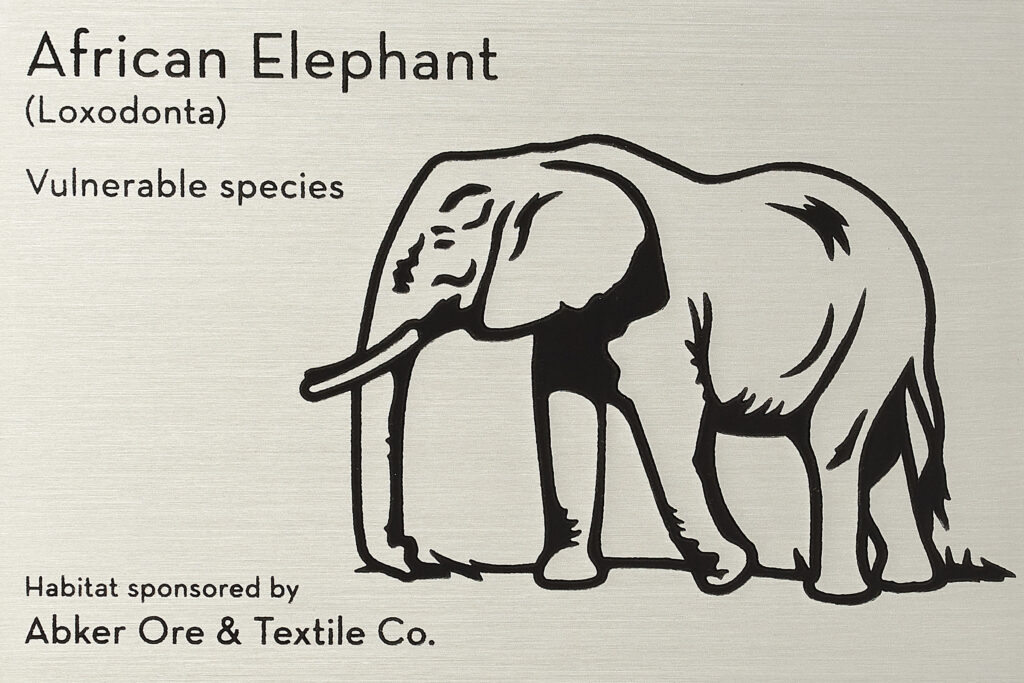 African Elephant plate