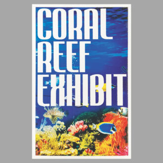 Coral reef exhibit plate